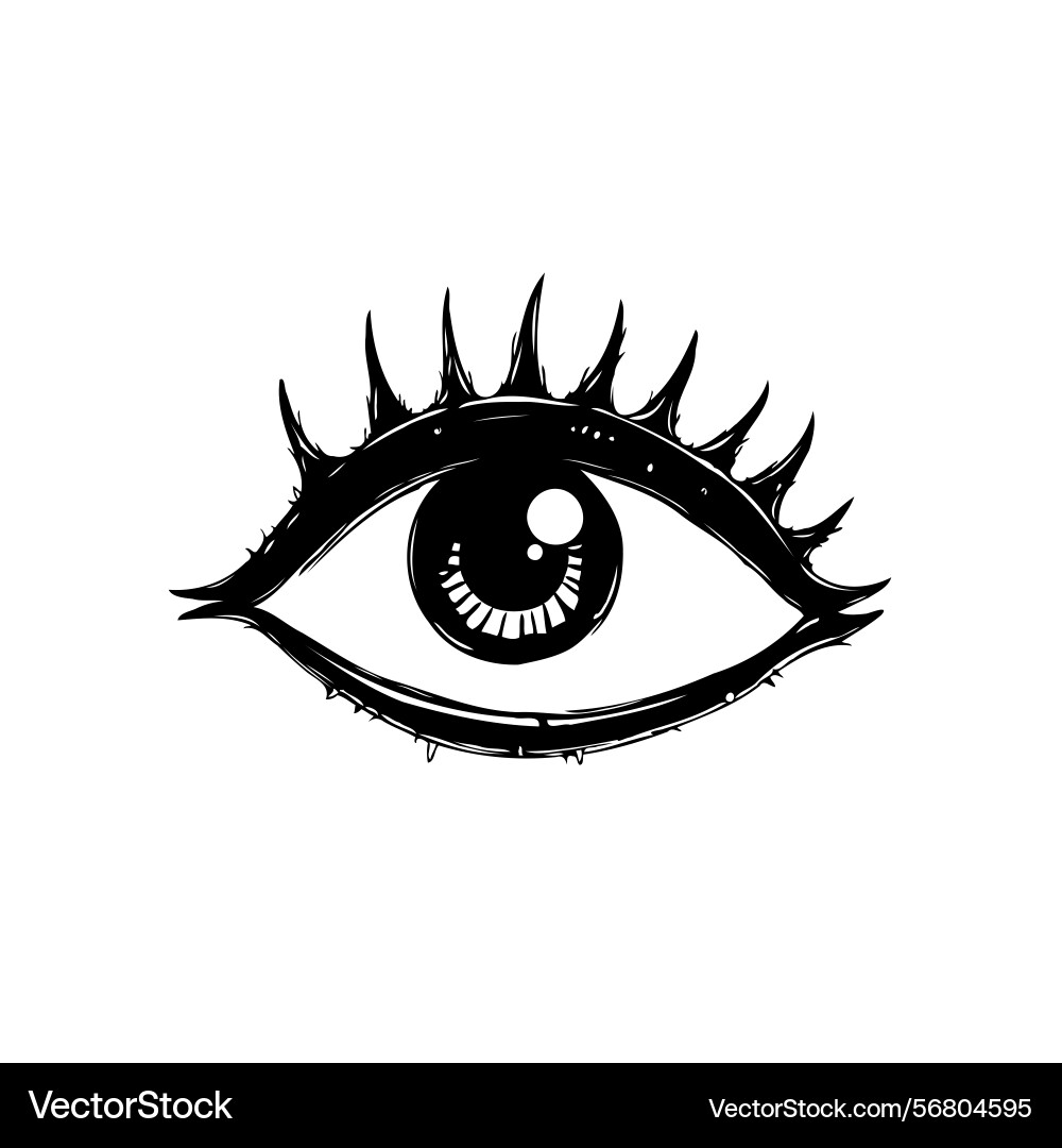 Stylized eye with distinct eyelashes and simple Vector Image