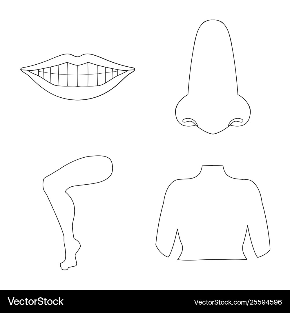 Design body and part symbol collection vector image