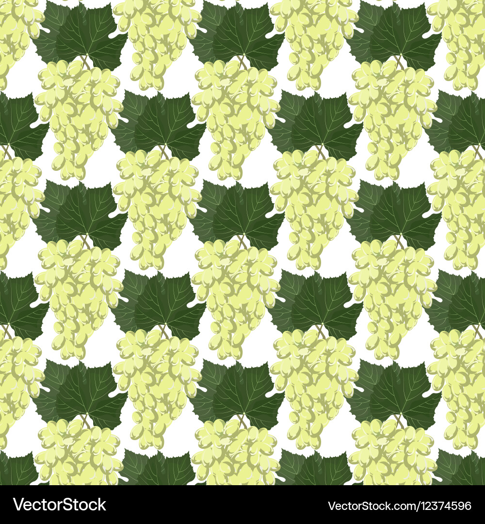 Grapes clusters pattern vector image