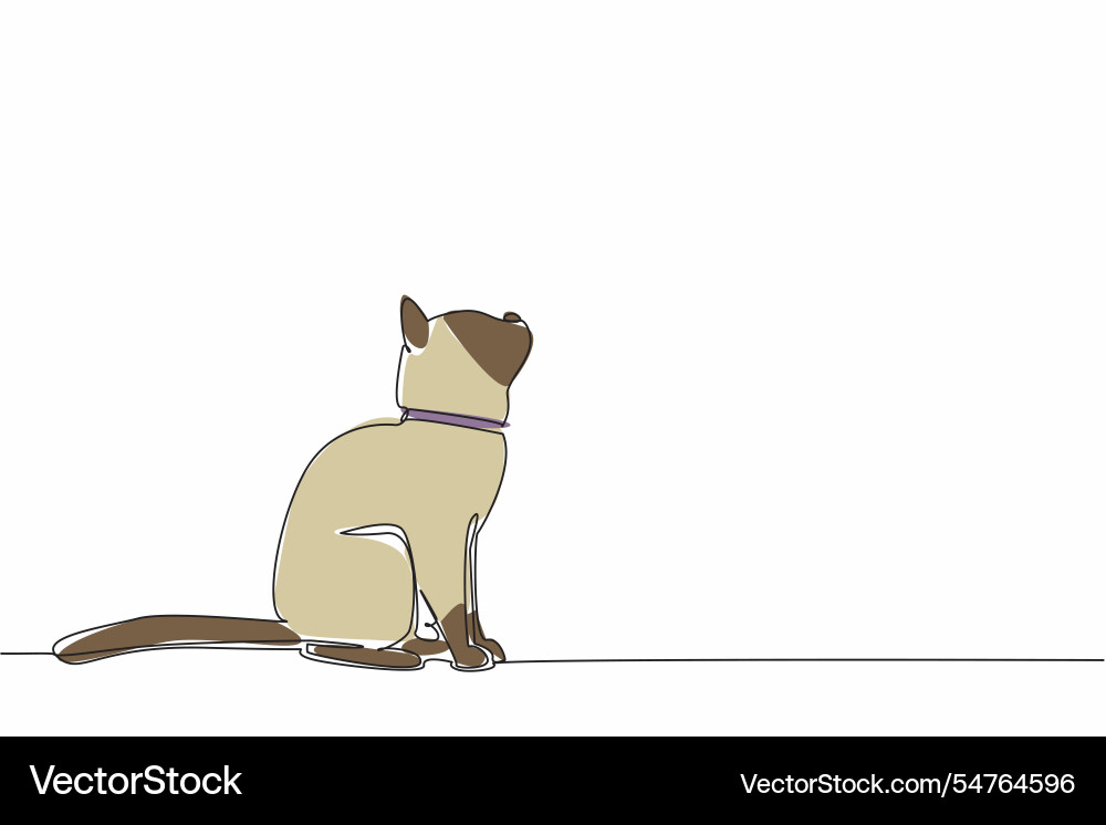 Single continuous line drawing siamese cat posing Single continuous line drawing siamese cat posing Vector Image