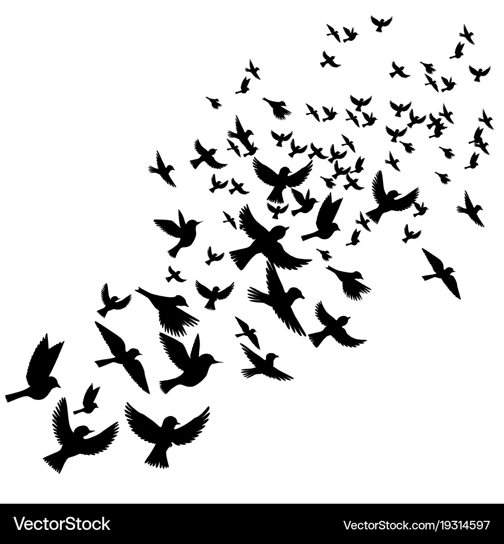 Flying Bird Silhouettes Flock vector image