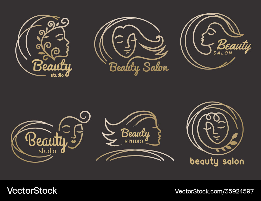 Stylized Beauty Salon Logo vector image