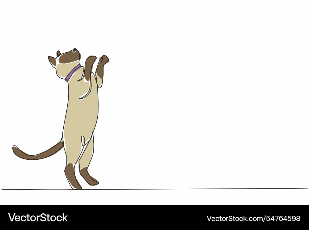Continuous one line drawing siamese cat posing Continuous one line drawing siamese cat posing vector image
