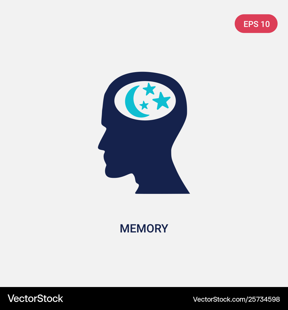 Two color memory icon from brain process concept Two color memory icon from brain process concept vector image