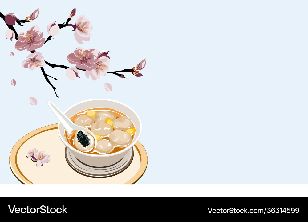 Glutinous rice balls or tang yuan with sesame insi vector image