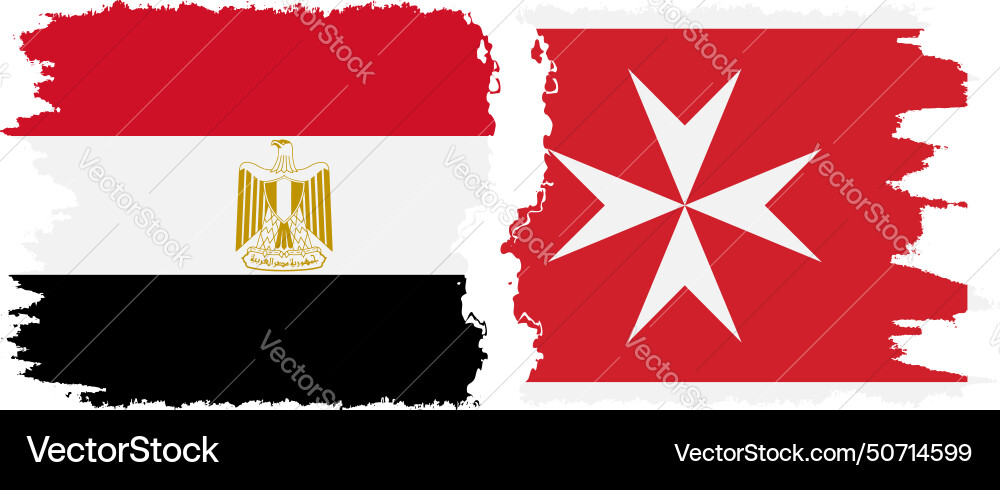 Malta und Ägyptische Grunge Flaggenverbindung Malta und Ägyptische Grunge Flaggenverbindung vektorbild