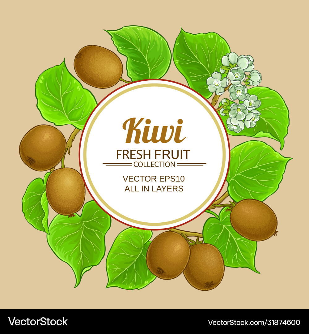 Kiwi branches frame on color background Kiwi branches frame on color background Vector Image