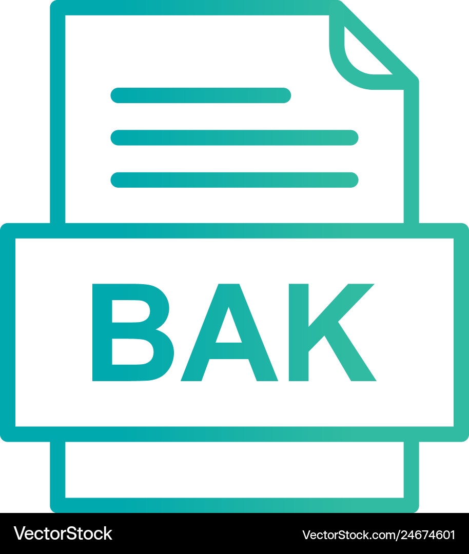 Bak file document icon Vector Image