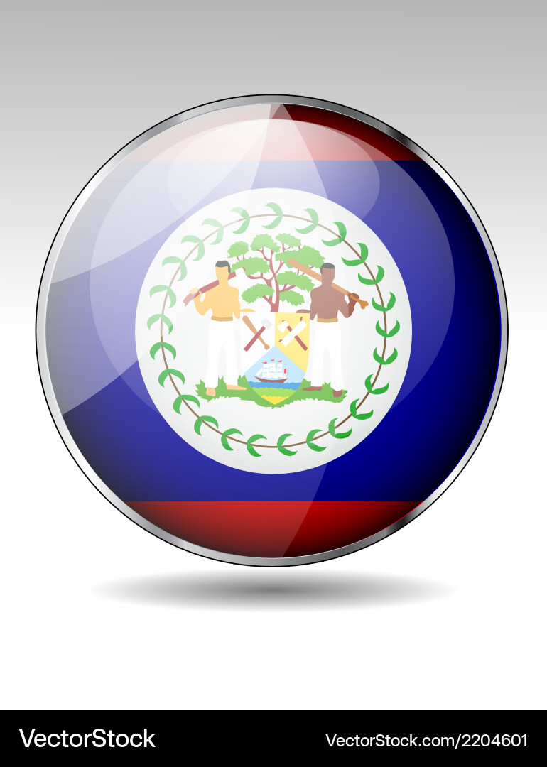 Flag button design elements vector image