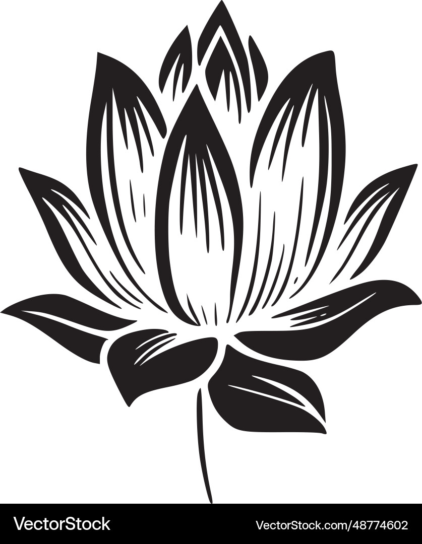 Lotus Blume - hochwertiges Logo ideal Lotus Blume - hochwertiges Logo ideal vektorbild
