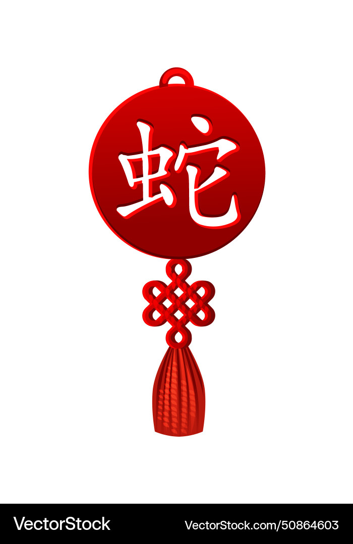 Celtic weave knot talisman chinese snake symbol Celtic weave knot talisman chinese snake symbol vector image