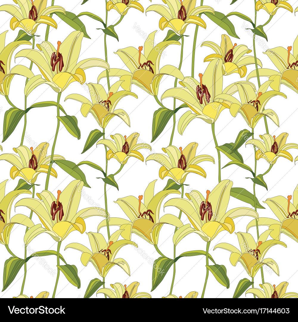 Floral background flower lily flourish vector image
