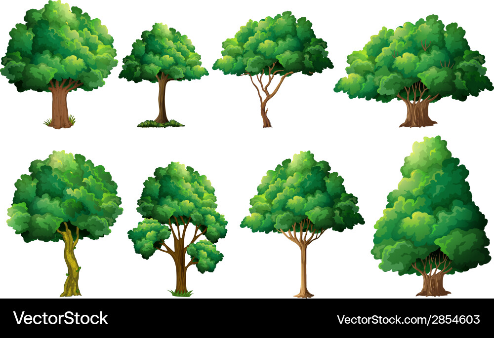 Tree set vector image