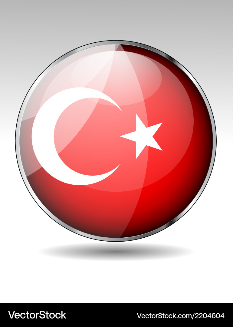 Flag button design elements Vector Image
