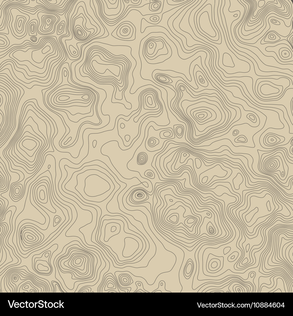 Topographic map background concept with space Vector Image