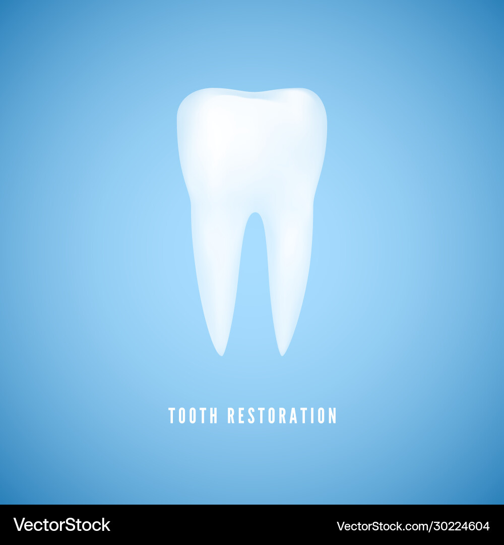 White realistic tooth clear health molar dentist White realistic tooth clear health molar dentist vector image