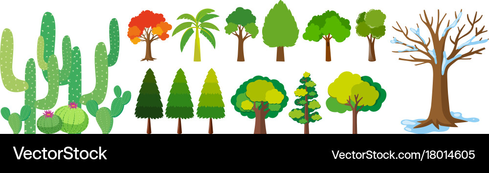Different types of trees vector image