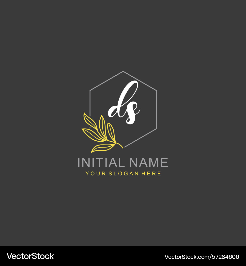Ds initial logo templates with botanical elements Vector Image
