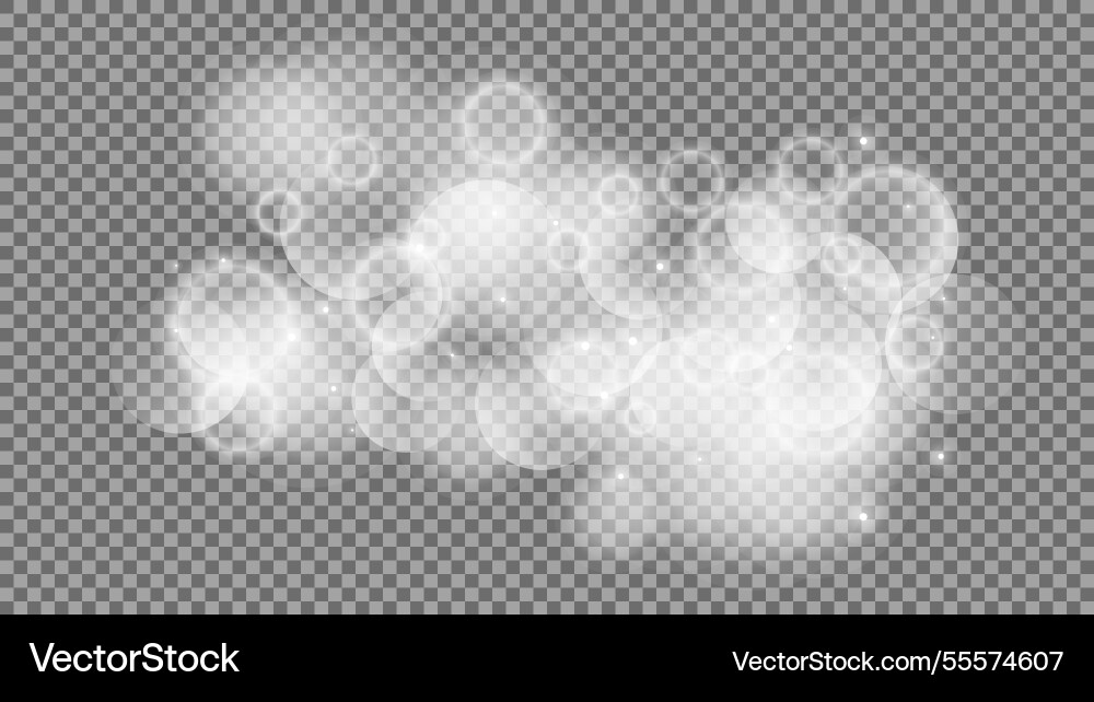 Bokeh circles on transparent background Bokeh circles on transparent background vector image