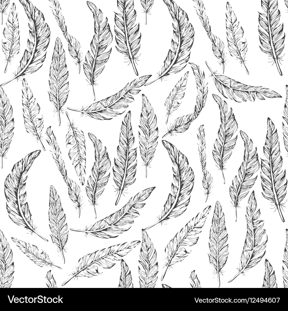 Feathers seamless pattern Royalty Free Vector Image