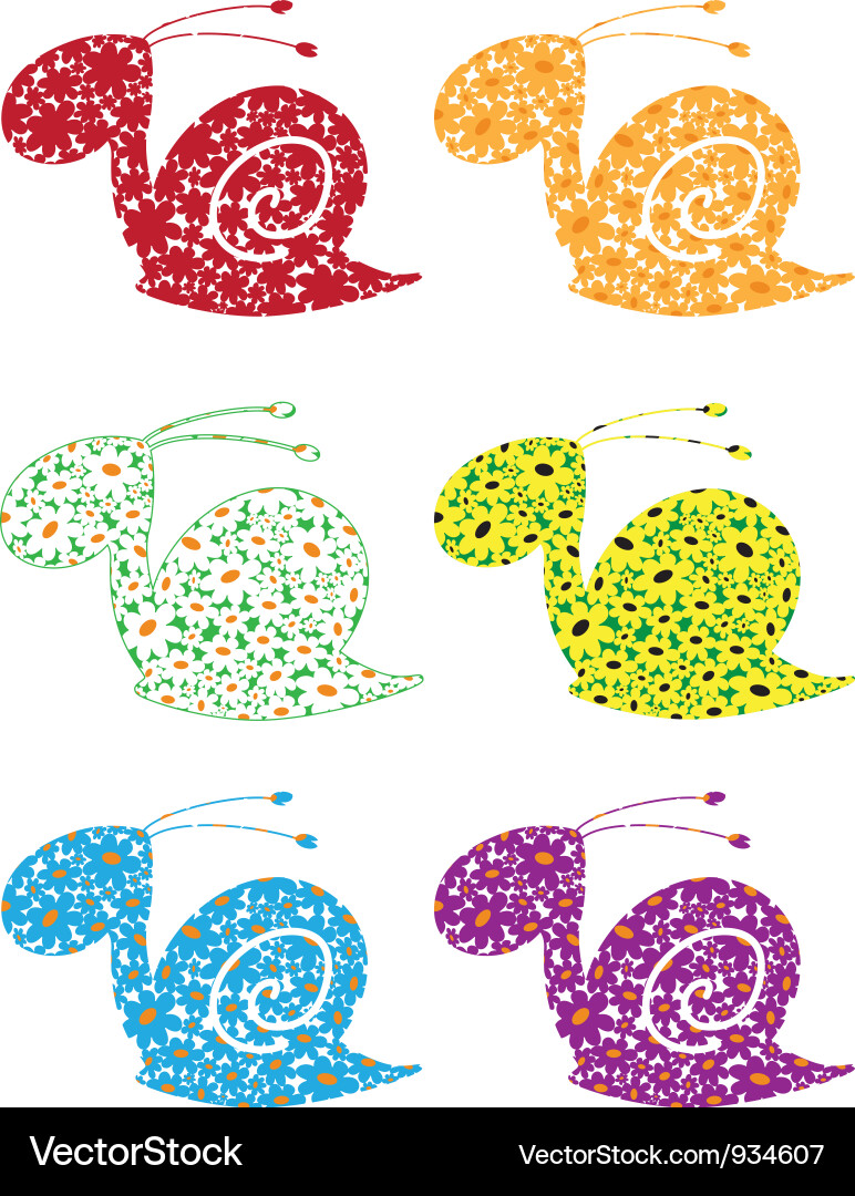 Snail flowers set Vector Image