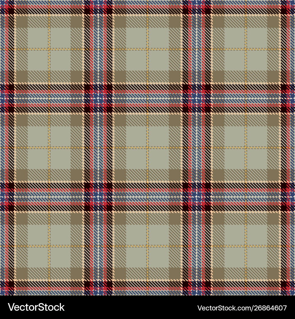 Tartan seamless pattern background vector image