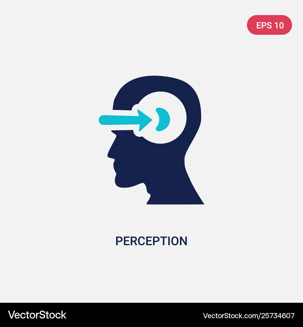 Two color perception icon from brain process Two color perception icon from brain process vector image