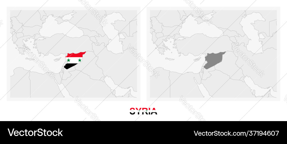Two versions map syria with flag Vector Image