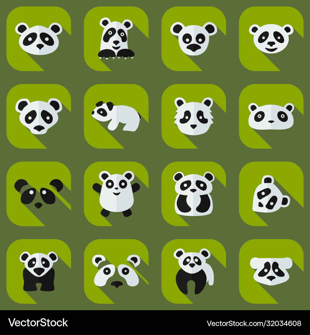 Flat concept set modern design with shadow pandas Flat concept set modern design with shadow pandas Vector Image