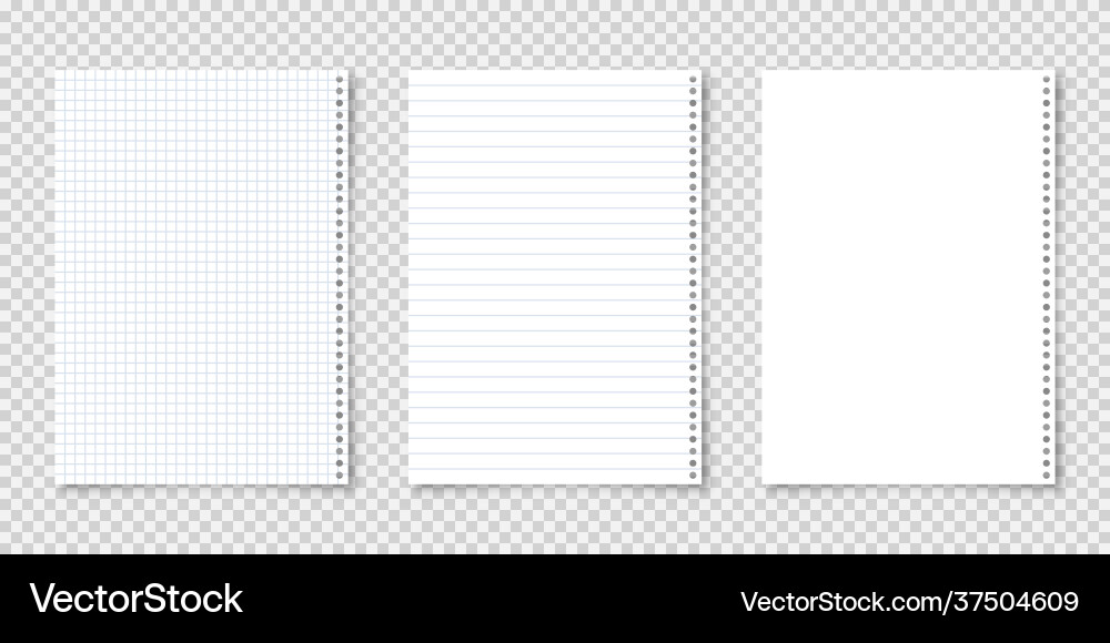 Realistic blank lined paper sheets in a4 format Realistic blank lined paper sheets in a4 format vector image