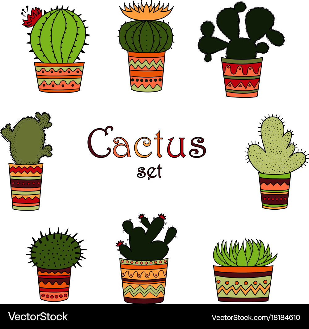 A set of color cactuses in pots Vector Image