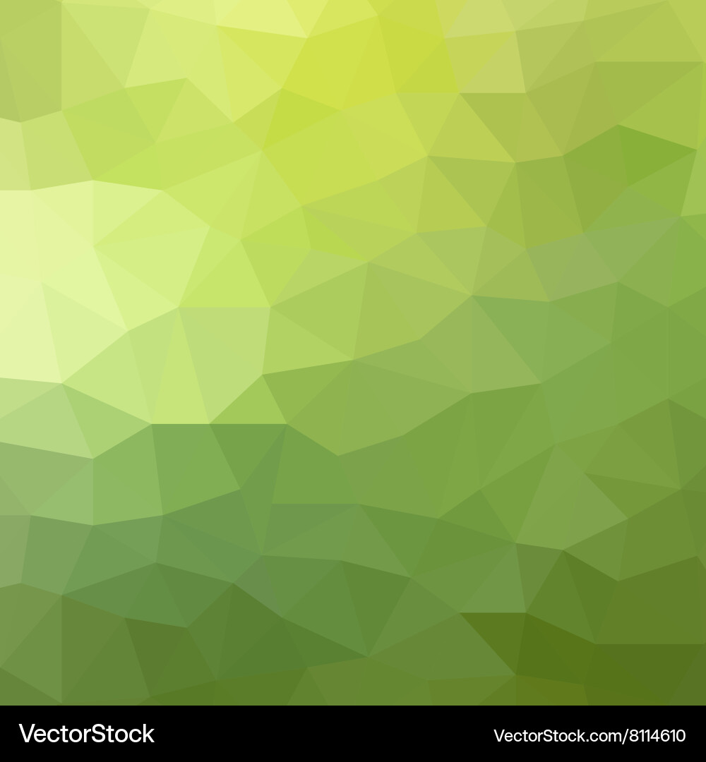 Abstract triangle geometrical background vector image