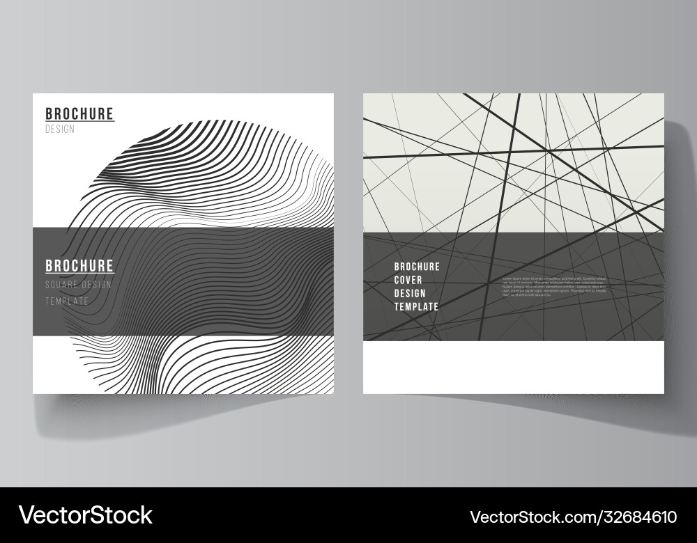 Minimal layout two square format vector image