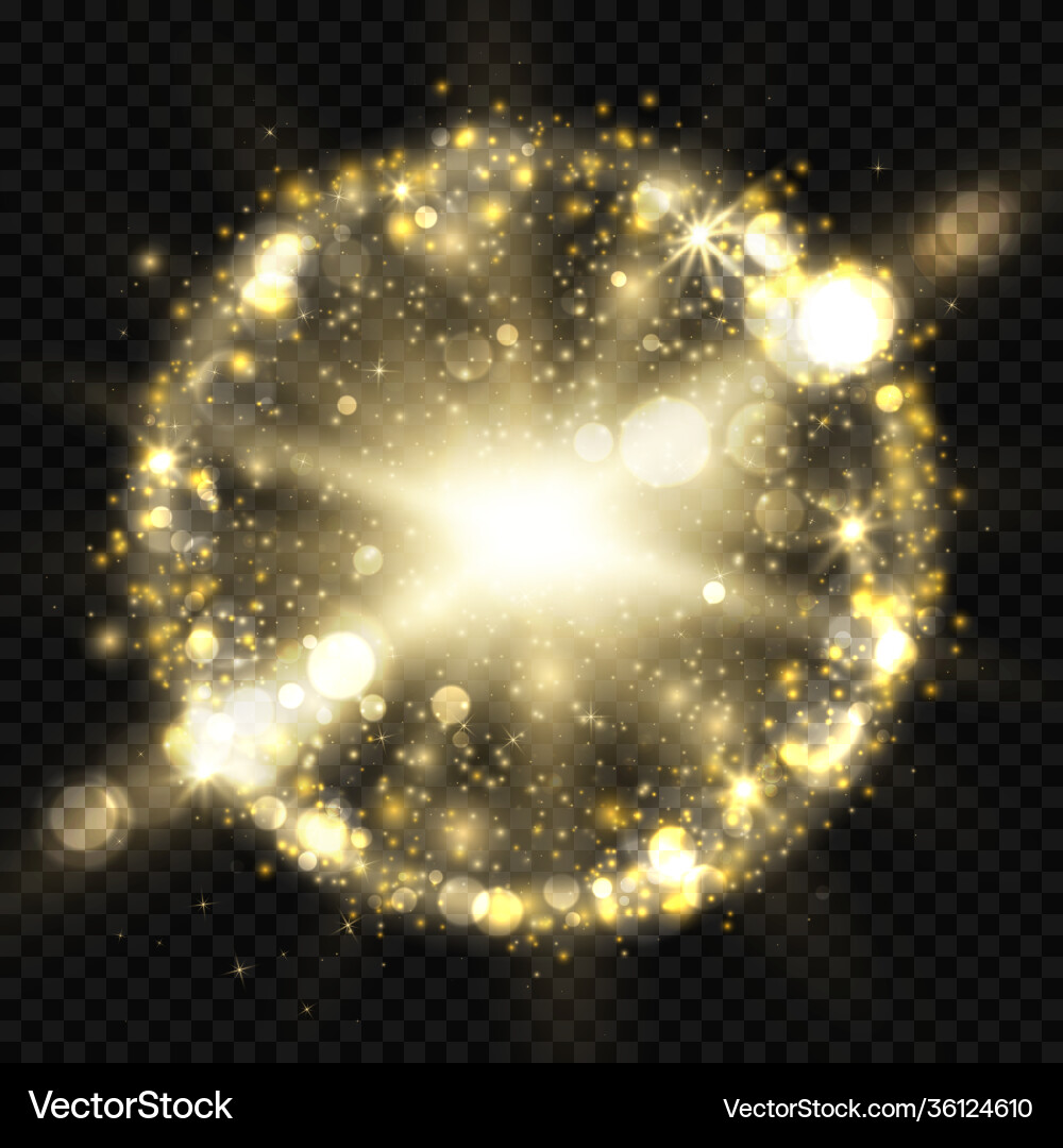 Star burst with sparkles bokeh and round shiny Star burst with sparkles bokeh and round shiny vector image