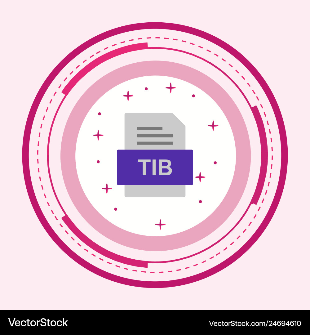 Tib file document icon vector image