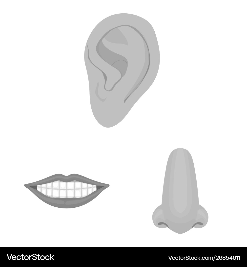 Design body and part icon set Design body and part icon set vector image