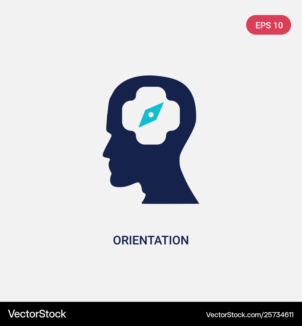 Two color orientation icon from brain process Two color orientation icon from brain process Vector Image