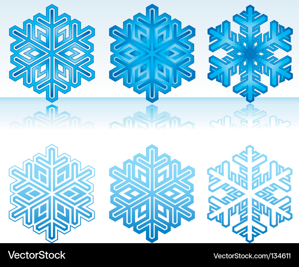 Winter Snowflake Pattern vector image