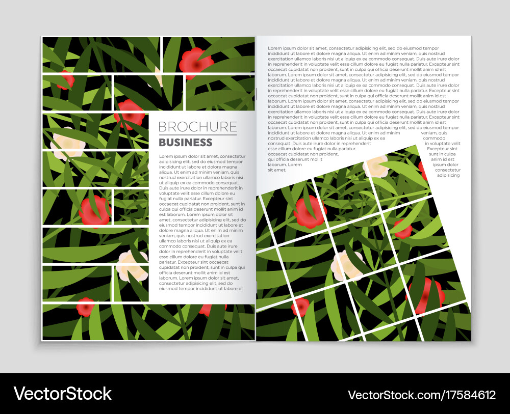 Abstract layout background set for art Vector Image