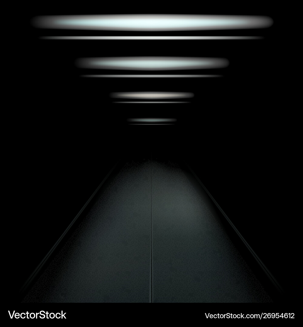 Dark and empty tunnel vector image
