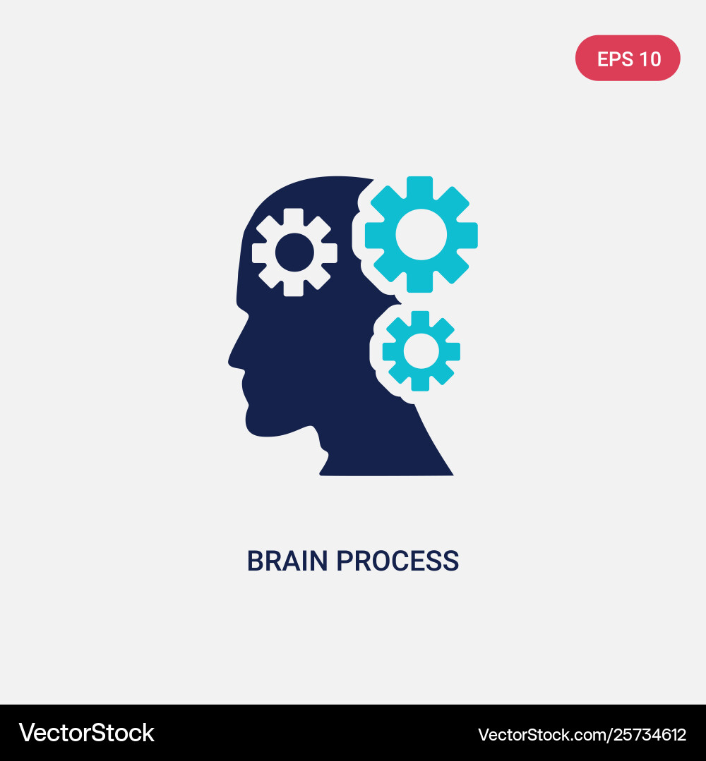 Two color brain process icon from concept Two color brain process icon from concept vector image