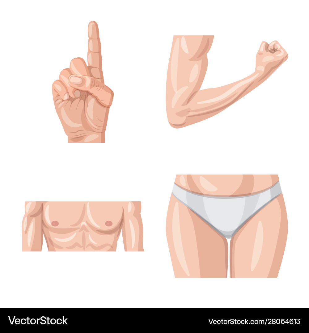 Isolated object human and part icon set Isolated object human and part icon set vector image