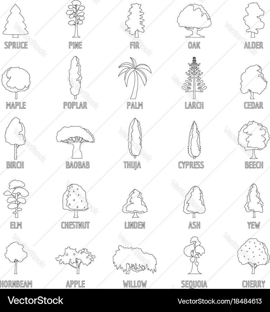 Tree types icons set outline style vector image
