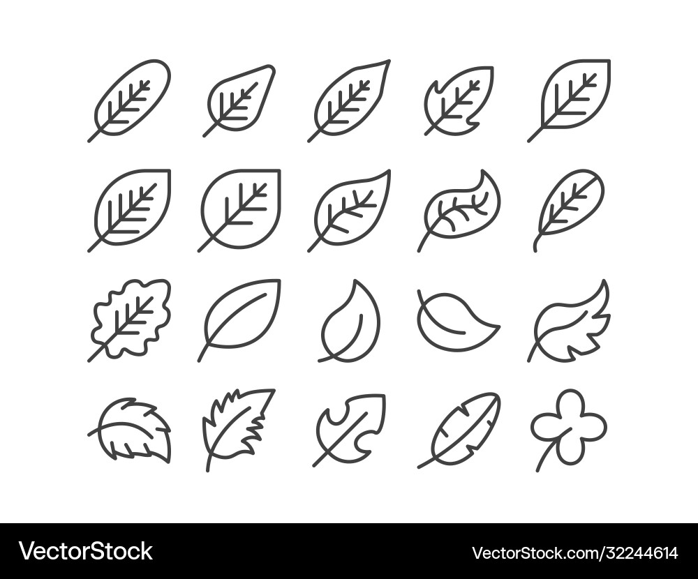 Diagonal leaf outline line icon set autumn fall Diagonal leaf outline line icon set autumn fall Vector Image