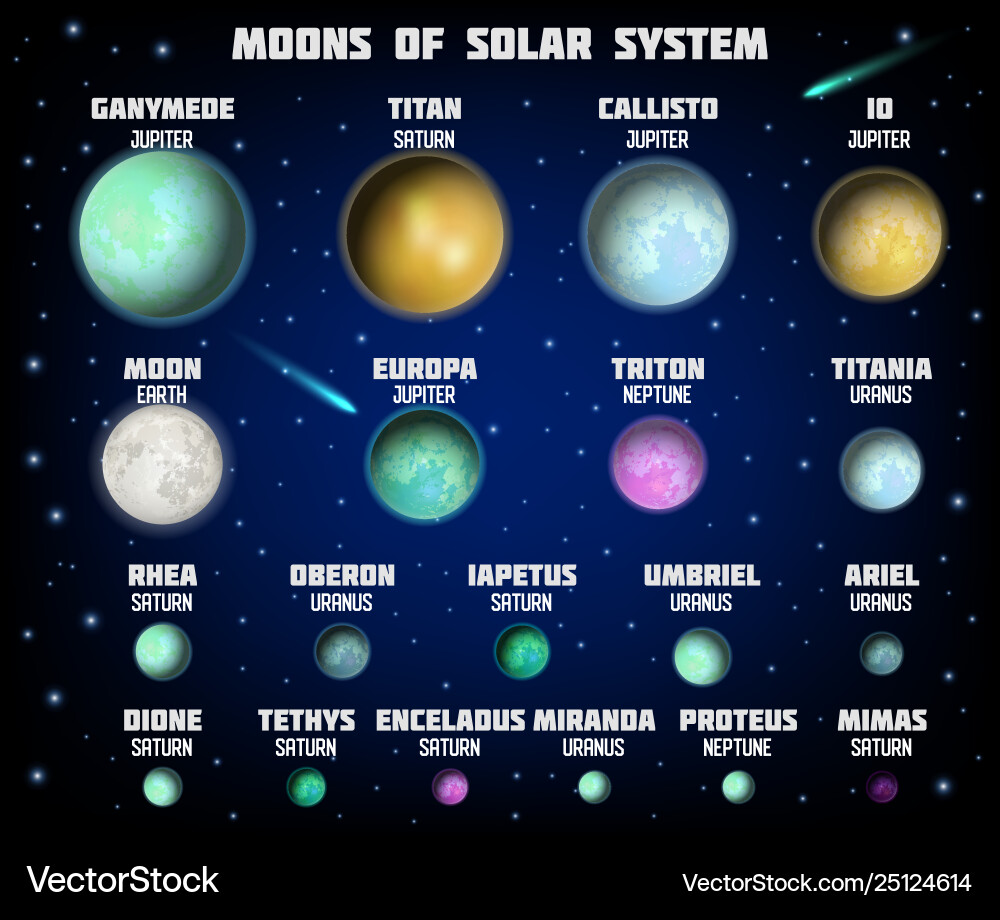 Solar System Moon Diagram vector image