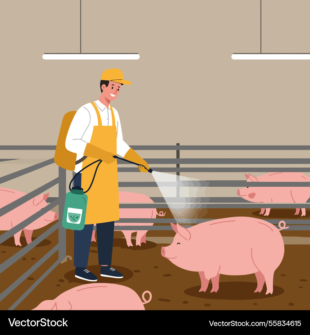 Spraying sanitizer inside a pig pen to prevent Vector Image