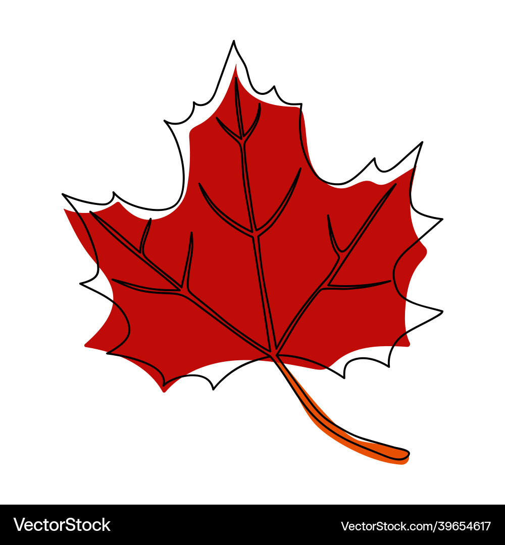 Continuous line drawing maple leaf one hand Continuous line drawing maple leaf one hand vector image