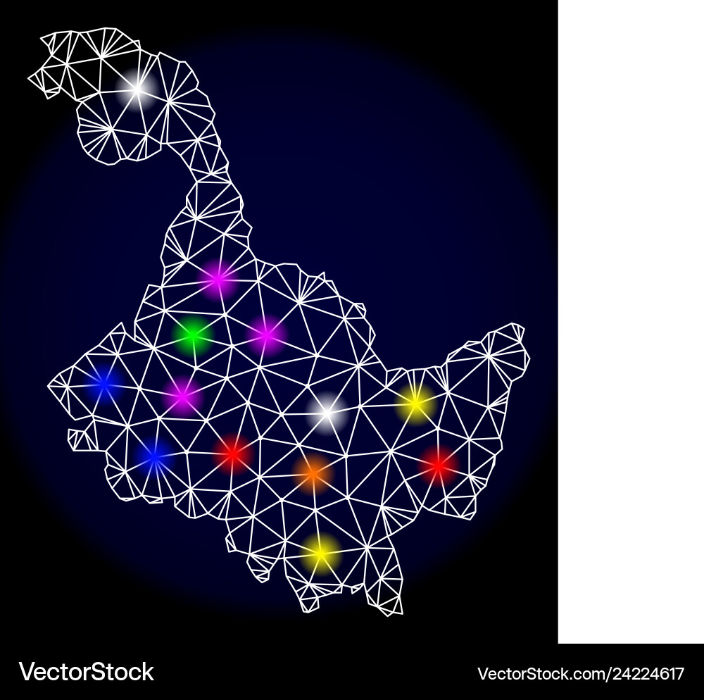 Polygonal network mesh map of heilongjiang Polygonal network mesh map of heilongjiang vector image