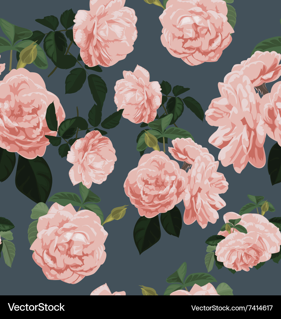 Rose vector image