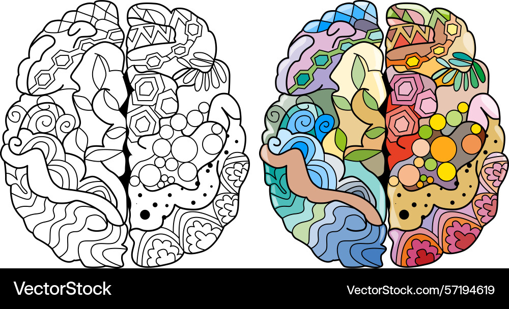 Brain image in entangle style for coloring color Brain image in entangle style for coloring color vector image